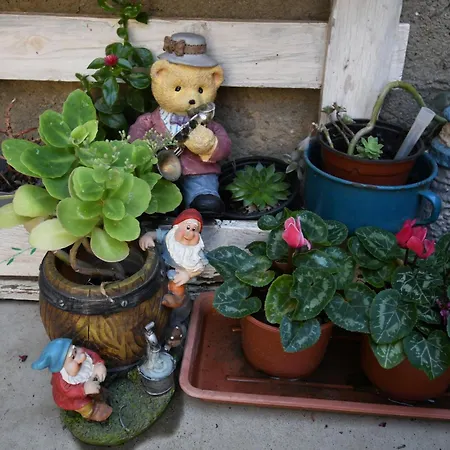 Casa Pita Completa Grupos San Justo de la Vega